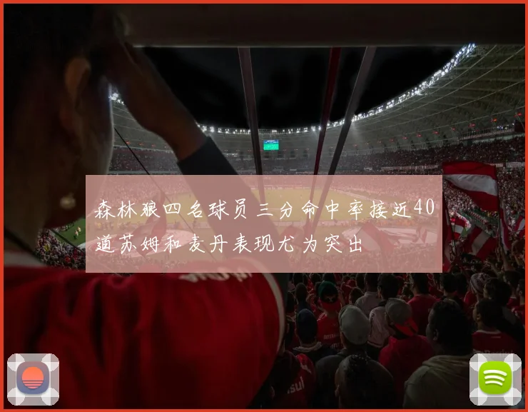 森林狼四名球员三分命中率接近40道苏姆和麦丹表现尤为突出
